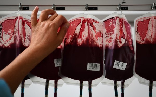 Medizin-Nobelpreis an Entdecker von Hepatitis-C-Virus - © Foto: Ina Fassbender/dpa