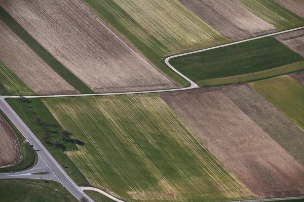 Bericht zur Lage der Natur - © Foto: Uli Deck/dpa