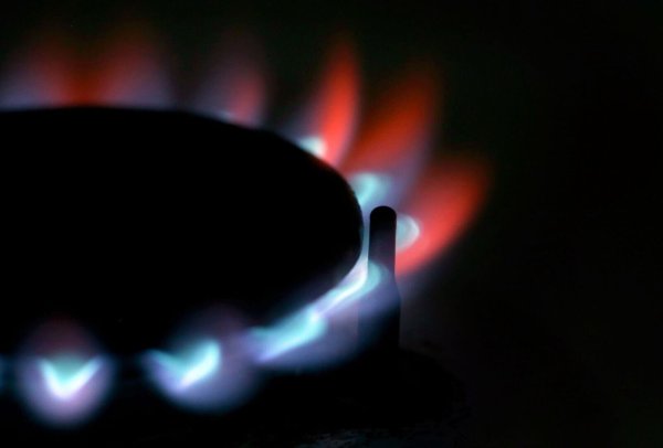 - © picture alliance / dpa