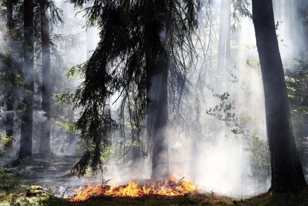 - © Ralf Hettler/dpa