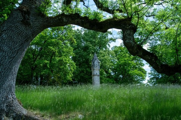 Der Park des Schlosses Rosenau bei Coburg in Bayern. - © Pia Bayer/dpa