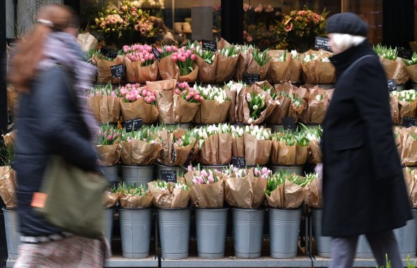 Für Tulpen müssen Verbraucher in diesem Jahr tiefer in die Tasche greifen. (Archivbild) - © Sebastian Willnow/dpa