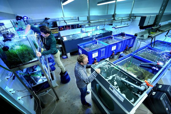 Hier werden die Tiere an der Universität Bielefeld versorgt. - © Andreas Fruecht