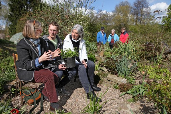 Marie-Luise Asemissen (links) und Renate Tegtmeyer haben Garten-Hausherr Benjamin Schich auf der Bank in die Mitte genommen. Im Hintergrund betrachten Willi Garnjost, Elvi Oerder und Manuela Schich die langsam in Fahrt kommenden Beete. - © Foto: Preuss