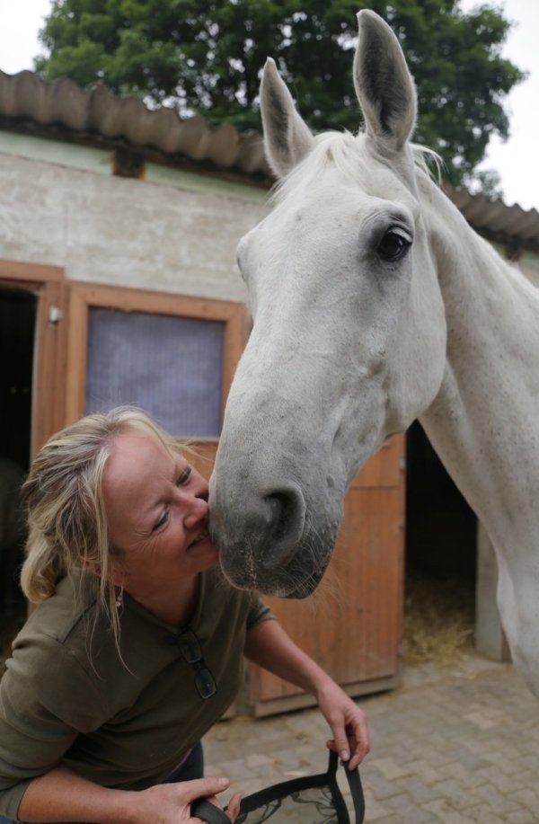 Die ganz große Liebe: Melanie Howard-Friedland hat wegen ihres Wallachs Granit den Gnadenhof Friedland gegründet. Der Pferde-Opa kann nicht mehr kauen, ist sonst aber lebensfroh. - © Friderike Schulz