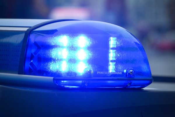 Ein auf der A2 herumirrendes Kalb ist von der Polizei erschossen worden.  - © dpa