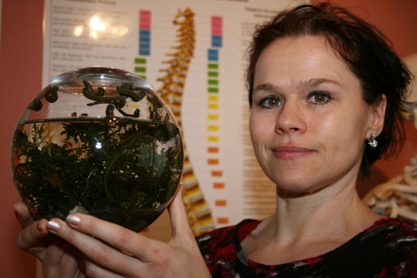 Helfer aus der Natur: Heilpraktikerin Christiane Wagner setzt seit Jahren auf die Blutegeltherapie. - © Sandra Castrup