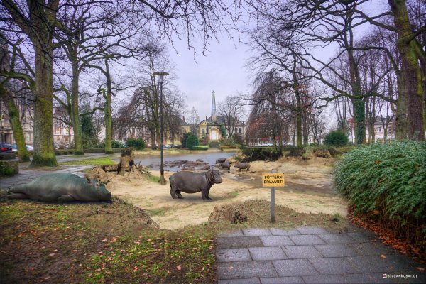 Träumen ist erlaubt: Aus dem Kaiser-Wilhelm-Platz könnte man auch einen Innenstadt-Zoo mit Nilpferden machen. - © Stadt Detmold