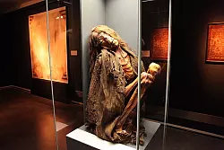 - &copy; Foto: Preuss