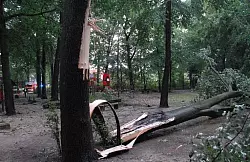 In Mohns Park in G&uuml;tersloh waren zwei Ehepaare auf einem Spaziergang von dem Unwetter &uuml;berrascht worden und hatten Schutz unter einem alten Baum gesucht. Als der Baum bei dem Sturm auseinander brach, wurde eine 69-j&auml;hrige G&uuml;tersloherin unter der herabst&uuml;rzenden Baumkrone begraben. - &copy; FOTO: ANDREAS EICKHOFF