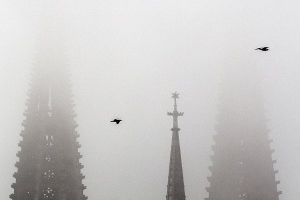 Der Deutsche Wetterdienst erwartet bis zum Wochenende Nebel in NRW, der sich tagsüber teils nur zäh auflösen soll. (Symbolbild) - © Federico Gambarini/dpa