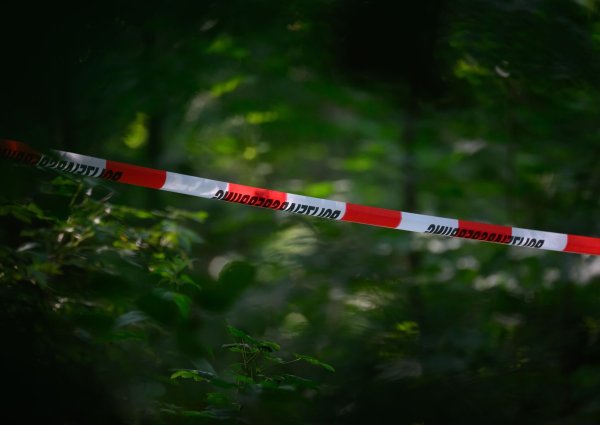 Von einem Pilzsammler in einem Rucksack im Wald gefundene Munition und Handgranaten mussten in Dortmund durch den Kampfmittelräumdienst kontrolliert gesprengt werden. (Symbolbild) - © Robert Michael/dpa