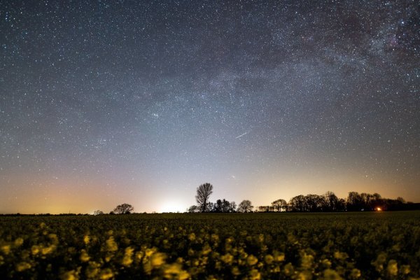 Der Sternenhimmel leuchtet über einem Rapsfeld in Schleswig-Holstein (Archivbild). - © Daniel Reinhardt/dpa