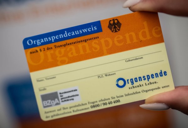 Der Organspendeausweis kann verloren gehen - nun gibt es eine Datenbank im Internet. - © Michael Kappeler/dpa