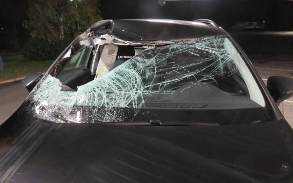 Ein Blick auf die völlig zerstörte Windschutzscheibe des Seats. Nicht auszudenken, wie dieser Unfall im schlimmsten Fall hätte enden können. - © Polizei Bielefeld
