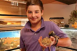 Exotische Zimmergenossen: Till z&uuml;chtet erfolgreich seltene Echsen. 