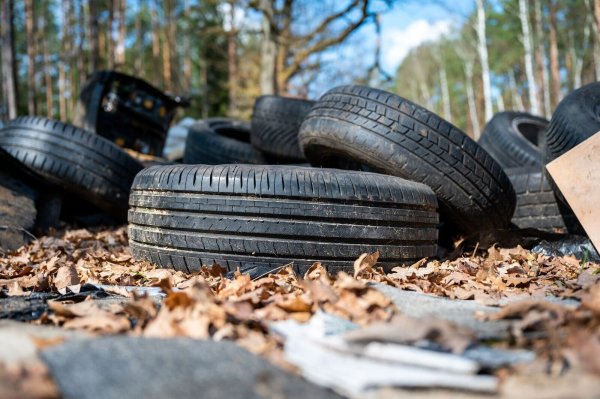 Illegal entsorgter Müll im Wald ist aus Sicht von Umweltschützern ein Problem - gelöst ist es längst noch nicht (Symbolbild). - © Philipp Schulze/dpa