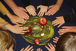 Mandala aus gesammelten Naturschätzen. - © Ralf Mühlenmeier