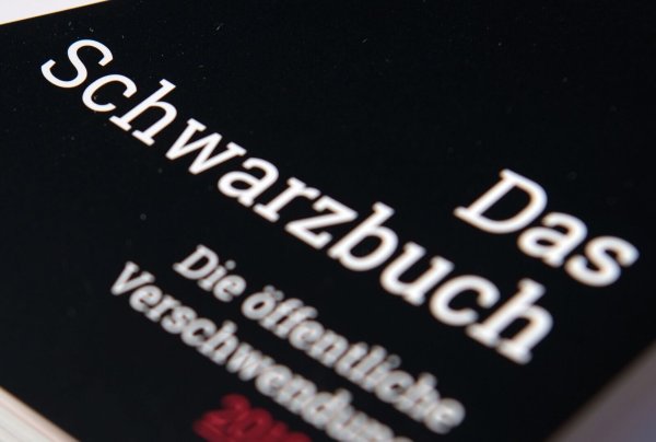 Der Bund der Steuerzahler sammelt in seinem Schwarzbuch Beispiele für die Verschwendung öffentlicher Gelder. (Symbolbild) - © Ralf Hirschberger/zb/dpa