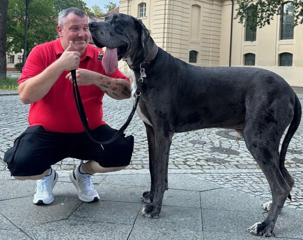Dogge Ramses und Besitzer Patrick Hein: Schafft es der Hund als größter lebender Hund ins Guinness-Buch der Rekorde? - © Tobias Grahn/TNN/dpa
