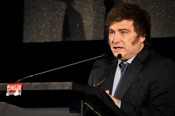 Macht es mit einem angekündigten Austritt aus der WHO US-Präsident Donald Trump nach: Argentiniens Präsident Javier Milei. (Archivbild) - © Santiago Mazzarovich/dpa
