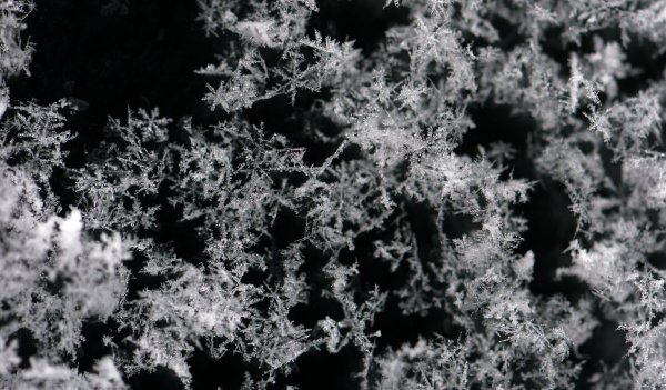 Nach einem kalten Start in die neue Woche sind im Sauerland die ersten Schneeflocken gefallen. (Symbolbild) - © Matthias Hiekel/dpa