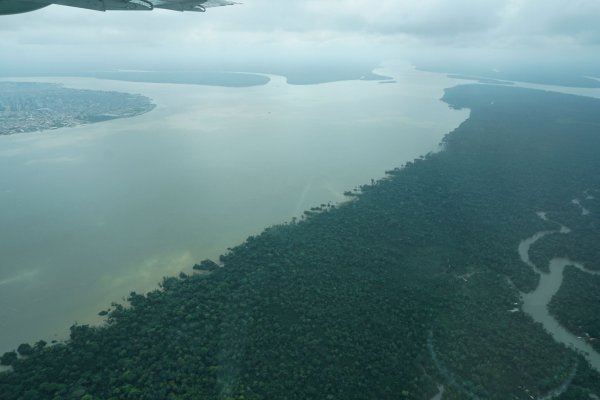 Durch den an die Millionenstadt Belém grenzenden Wald fließt der Fluss Guama. - © Larissa Schwedes/dpa