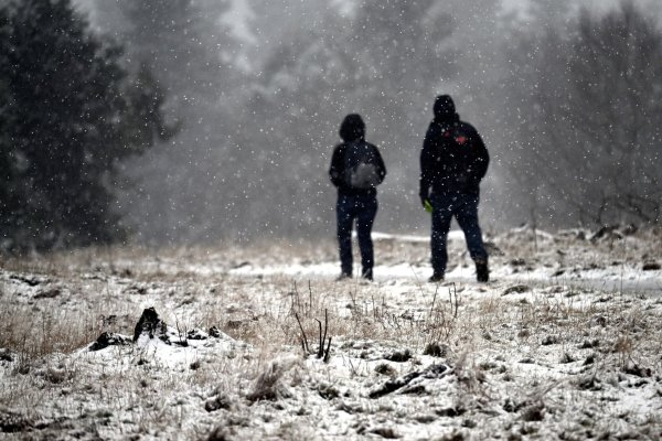 Vom Kahlen Asten werden Temperaturen von rund -0,8 Grad Celsius gemeldet. - © Federico Gambarini/dpa