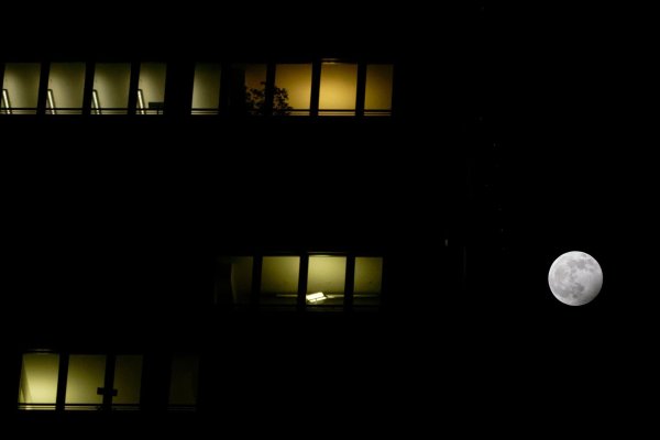 Wann habe ich eigentlich Nachtschicht? Das verrät in der Regel der Dienstplan. Wann der feststeht, kann sich jedoch von Unternehmen zu Unternehmen unterscheiden. - © Henning Kaiser/dpa/dpa-tmn