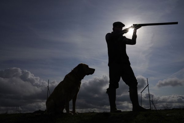 Bei der Moorhuhnjagd wird immer noch vor allem bleihaltige Munition eingesetzt. (Symbolfoto) - © Owen Humphreys/PA Wire/dpa