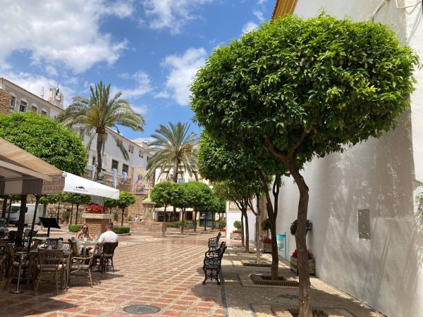 In Marbella treffen sich die Reichen und Schönen - aber auch die Drogenhändler. (Archivfoto) - © Federico Gambarini/dpa