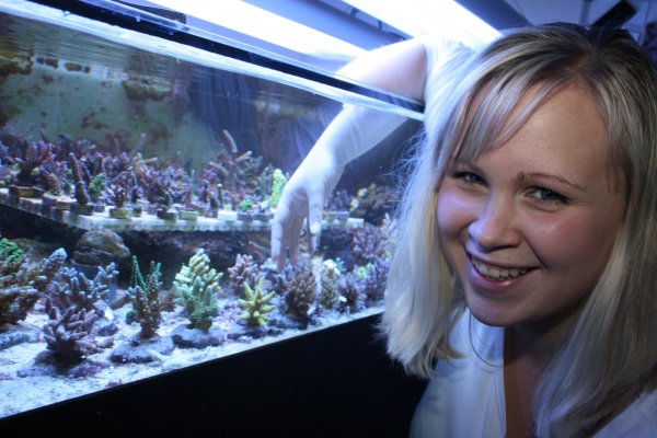 Liebt die Vielfalt aus dem Meer: Anna Martin züchtet zusammen mit ihrem Ehemann Andreas Korallen. Die Tiere verkauft sie an Interessenten im ganzen Land. - © Sandra Castrup
