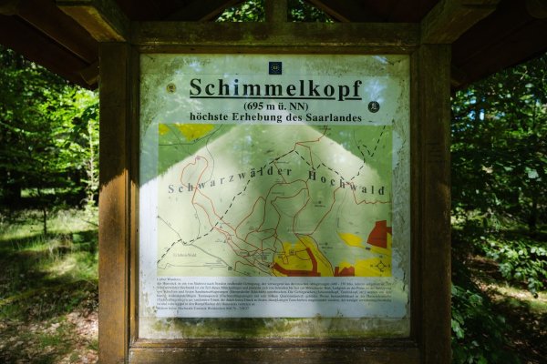 Jahrzehntelang war der Schimmelkopf die höchste natürliche Erhebung des Saarlandes. - bis 2005 neue, präzisere Messungen kamen. - © Oliver Dietze/dpa
