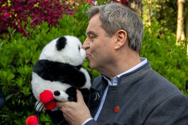 Markus Söder hat als Gastgeschenk einen Panda-Plüschbären bekommen. - © Peter Kneffel/dpa