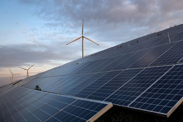 Viele Deutsche wünschen sich von der nächsten Regierung mehr Fokus auf den Klimaschutz. (Symbolbild) - © Sina Schuldt/dpa