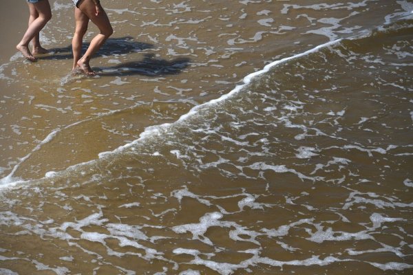 Mit der sommerlichen Hitze steigt das Risiko für Vibrionen-Infektionen an Nord- und Ostsee. - © Stefan Sauer/dpa/dpa-tmn