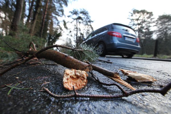 Lose Äste können durch Sturmböen abbrechen und die Straßen blockieren.  - © Archivfoto: Vera Gerstendorf-Welle