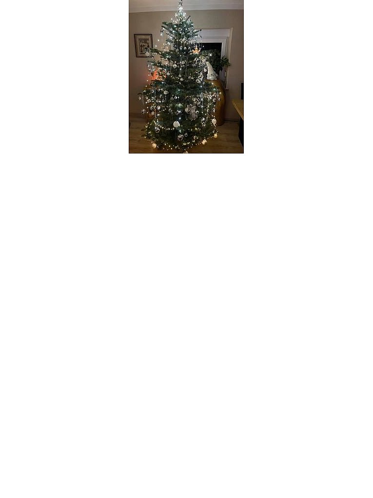 Weihnachtsbäume in Lippe