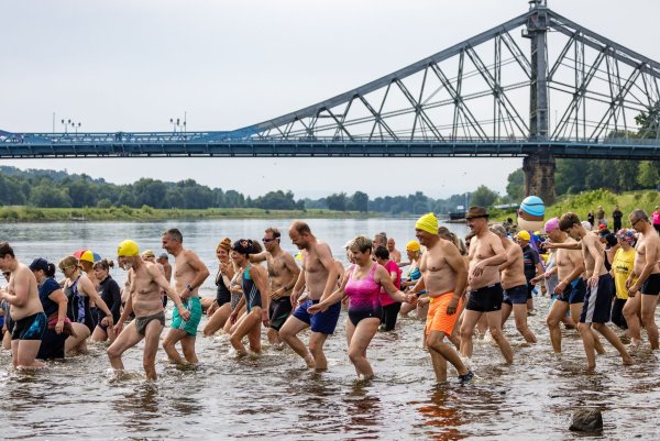 Hunderten Menschen machen beim Elbeschwimmen mit. - © Frank Hammerschmidt/dpa