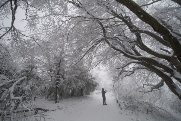 Schnee im Taunus - © Foto: Boris Roessler/dpa