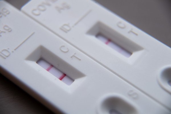 Was ist, wenn der Selbsttest mit Verzögerung positiv ist? - © Foto: Sebastian Gollnow/dpa/dpa-tmn