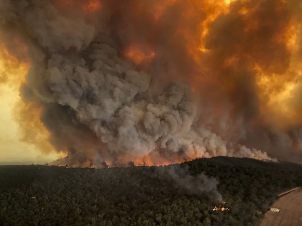 Buschbrand in Australien - © Foto: Glen Morey/Glen Morey/dpa