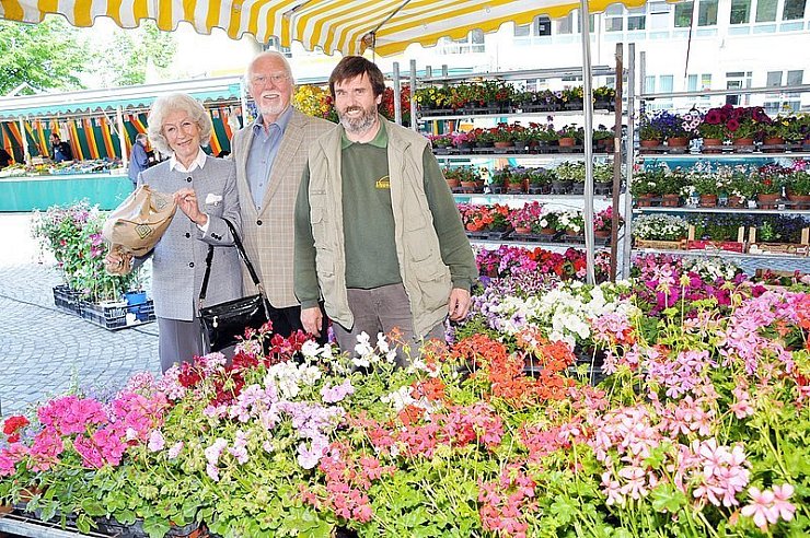 Adelheid und Klaus Kleine-Beckel finden, dass die Marktstände auf dem Rathausplatz ausreichend sind. Am Stand der Gärtnerei Brüschke haben sie bei Mitarbeiter Andreas Kramer (rechts) Blumen gekauft. - © Foto: Prignitz
