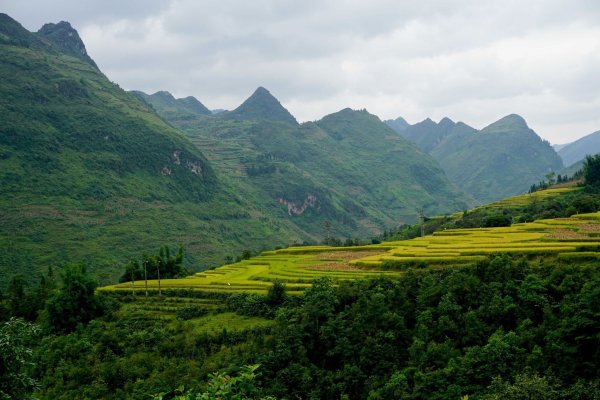 Vietnam bietet auch das: wilde Berglandschaften. Längere Reisen ins Land sind nun visafrei möglich. - © Morten Hübbe/dpa-tmn