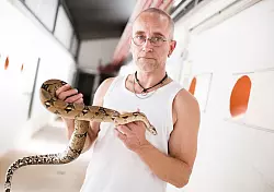 Auffangzentrum f&uuml;r Exoten: Der Tierpfleger Oliver ter Schegget h&auml;lt im Artenschutzzentrum in Metelen eine Boa Constrictor. Das Artenschutzzentrum im M&uuml;nsterland beherbergt rund 200 exotische Tiere. - &copy; dpa