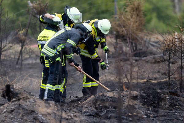 Versteckte Glutnester werden die Feuerwehrleute noch einige Tage nach dem Waldbrand auf der Saalfelder Höhe beschäftigen. - © Michael Reichel/dpa