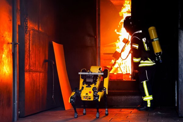Informatiker wollen Roboter «Byte» den Umgang mit Flammen beibringen. - © Frank Molter/dpa