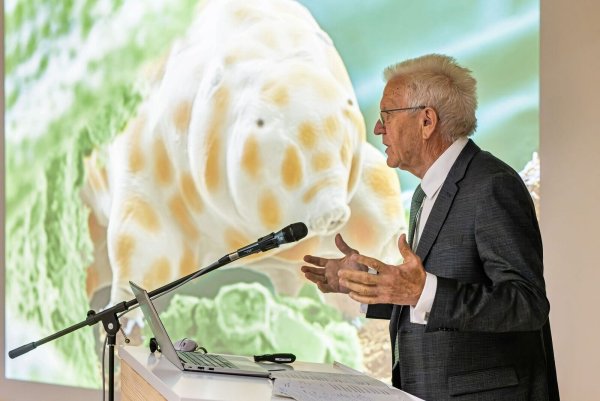 Winzig und doch bärenstark: Die neu entdeckte Bärtierchenart «Ramazzottius kretschmanni». - © Philipp von Ditfurth/dpa