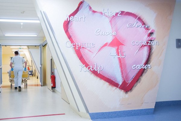 Herz in Not? Rund 4,7 Millionen Menschen in Deutschland lebten in 2023 mit der koronaren Herzkrankheit. (Symbolbild) - © Christian Charisius/dpa/dpa-tmn