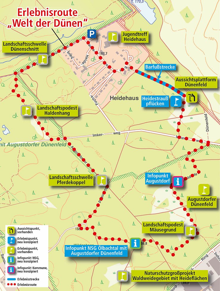 Wird aufgewertet: Der Augustdorfer Dünenpfad wird in den Rundwanderweg „Senne für alle Sinne" integriert und um einige Naturerlebnisse bereichert. - © Land NRW (2019)/Grafik: Oliver Wendtland